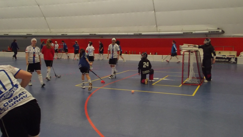13.4.2013 Praha Unihoc Aréna